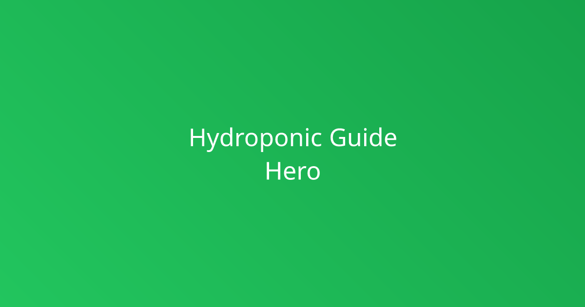 Hydroponic System Setup